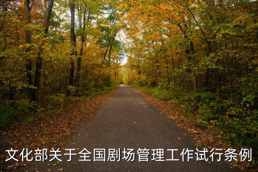 文化部關于全國劇場管理工作試行條例