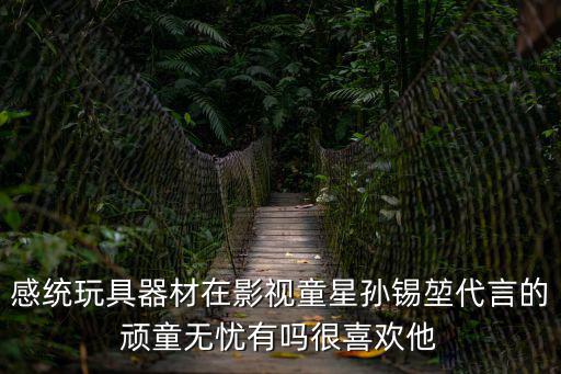 孫錫堃，感統(tǒng)玩具器材在影視童星孫錫堃代言的頑童無憂有嗎很喜歡他