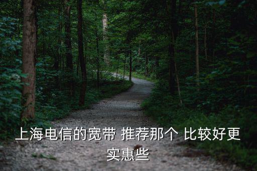 上海電信寬帶，上海電信的寬帶 推薦那個 比較好更實(shí)惠些