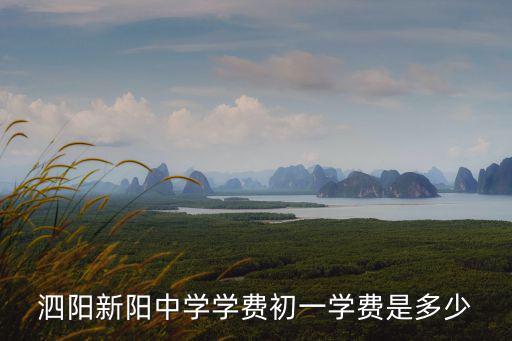 泗陽新陽中學(xué)學(xué)費初一學(xué)費是多少