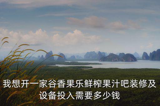 谷香果樂，我想開一家谷香果樂鮮榨果汁吧裝修及設(shè)備投入需要多少錢