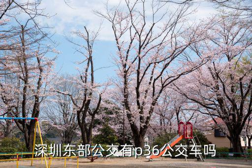 東部公交，深圳東部公交集團