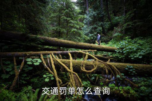 交通罰單怎么查詢