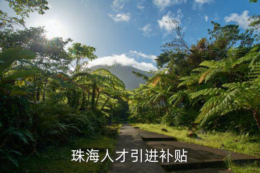 人才引進(jìn)補(bǔ)貼，珠海人才引進(jìn)補(bǔ)貼