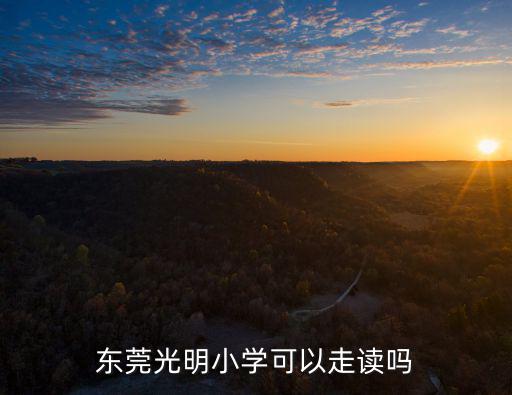 東莞光明小學(xué)可以走讀嗎