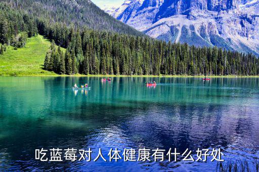吃藍莓有什么好處，吃藍莓對人體健康有什么好處