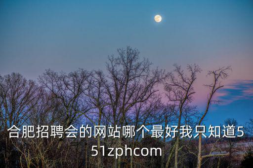 網上招聘會，合肥招聘會的網站哪個最好我只知道551zphcom