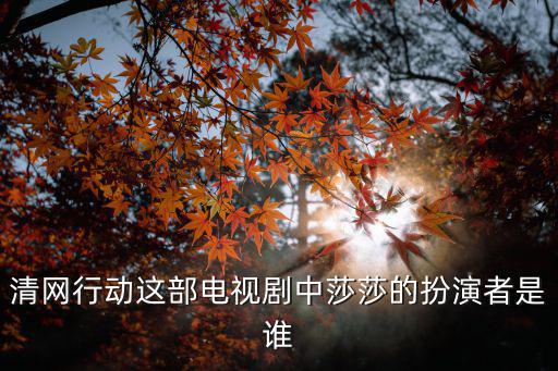 清網(wǎng)行動這部電視劇中莎莎的扮演者是誰