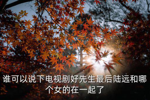 誰可以說下電視劇好先生最后陸遠(yuǎn)和哪個(gè)女的在一起了