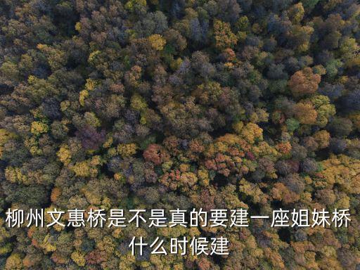 柳州文惠橋是不是真的要建一座姐妹橋什么時候建