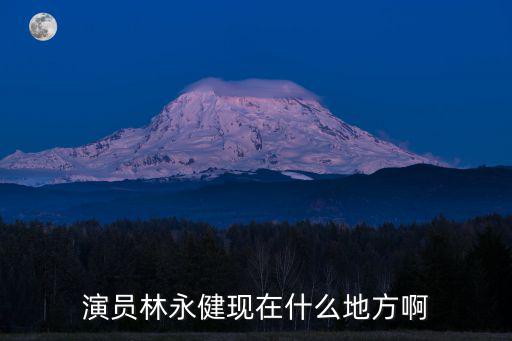 演員林永健現在什么地方啊