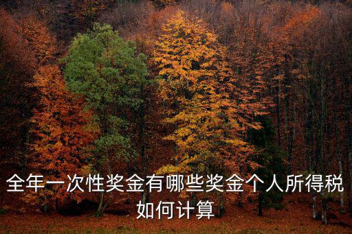 全年一次性獎金有哪些獎金個人所得稅如何計算