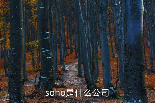 上海soho，上海SOHO什么情況