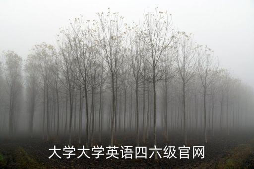 英語46級官網，大學大學英語四六級官網