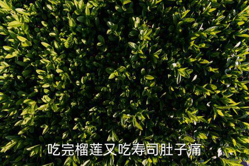 吃完榴蓮又吃壽司肚子痛
