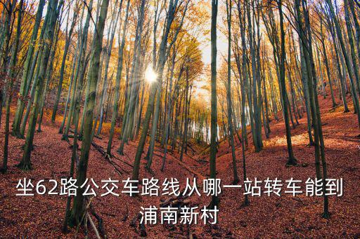 坐62路公交車路線從哪一站轉(zhuǎn)車能到浦南新村