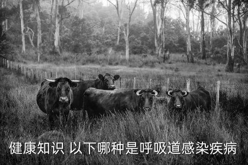 以下哪種，以下哪種商品為實際銷售商品而非廣告商品
