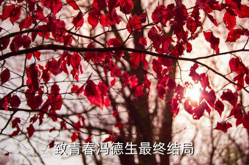 致青春馮德生最終結(jié)局