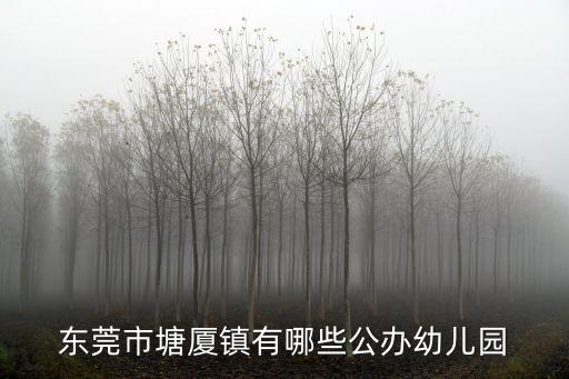 東莞市塘廈鎮有哪些公辦幼兒園