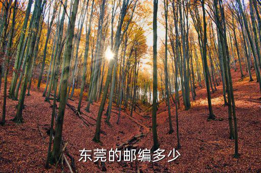 東莞市郵編，東莞的郵編多少