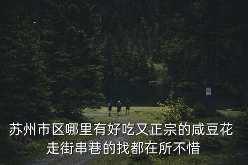 蘇州市區哪里有好吃又正宗的咸豆花 走街串巷的找都在所不惜
