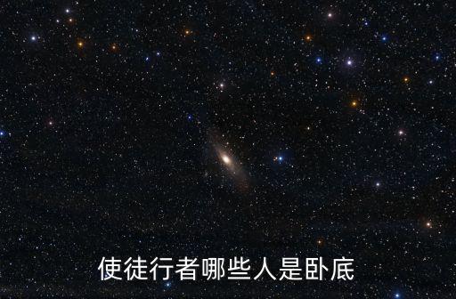 使徒行者哪些人是臥底