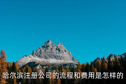 哈爾濱注冊公司的流程和費用是怎樣的