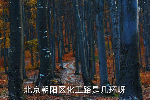 北京朝陽區(qū)化工路是幾環(huán)呀