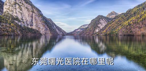 東莞曙光醫(yī)院在哪里呢