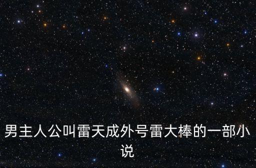 男主人公叫雷天成外號(hào)雷大棒的一部小說(shuō)