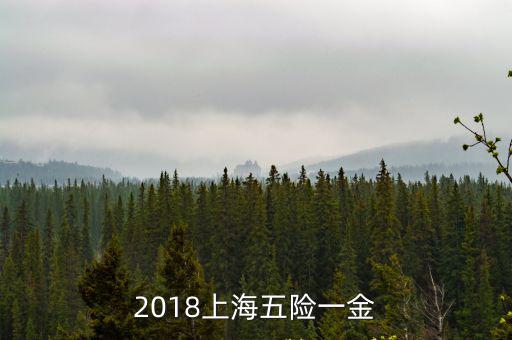 2018上海五險一金