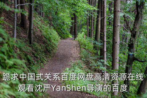 中國式關系電視劇，電視劇中國式關系總共有多少集