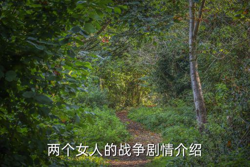 兩個女人的戰爭劇情介紹