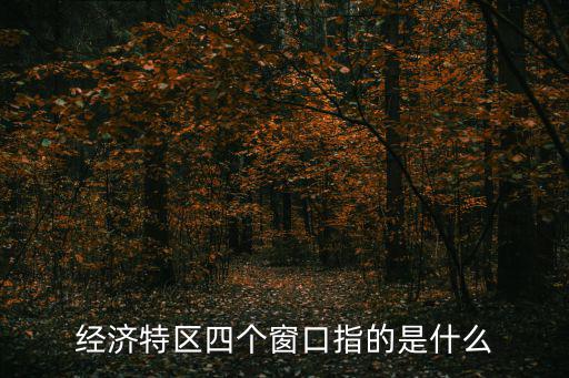 經(jīng)濟(jì)特區(qū)四個(gè)窗口指的是什么