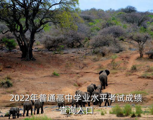 2022年普通高中學業水平考試成績查詢入口