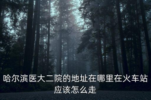 哈醫大二院地址，哈爾濱醫大二院的地址在哪里在火車站應該怎么走