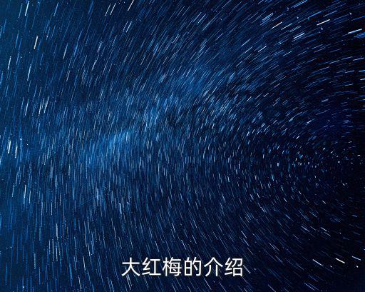 大紅梅的介紹