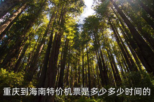 重慶到海南，重慶到海南特價(jià)機(jī)票是多少多少時(shí)間的