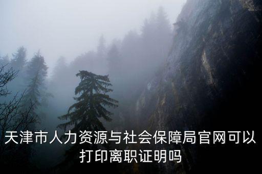天津市人力資源與社會保障局官網可以打印離職證明嗎
