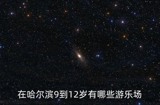 在哈爾濱9到12歲有哪些游樂(lè)場(chǎng)