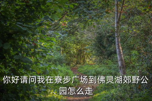 你好請問我在寮步廣場到佛靈湖郊野公園怎么走