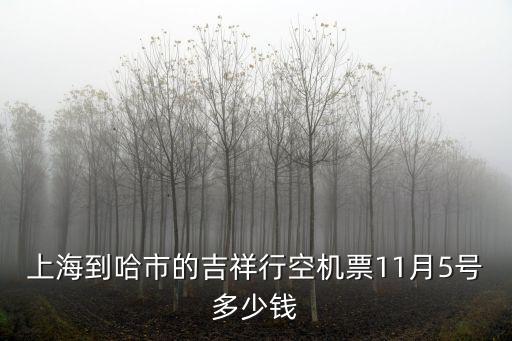 上海到哈市的吉祥行空機票11月5號多少錢