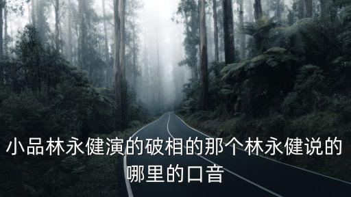 小品林永健演的破相的那個林永健說的哪里的口音