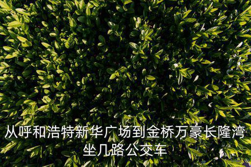 萬豪長隆灣，金橋新區(qū)萬豪長龍灣距呼市火車站多少公里