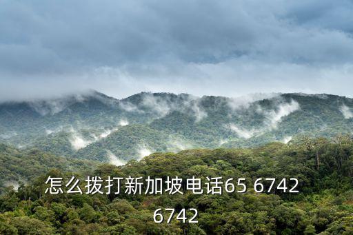怎么撥打新加坡電話65 6742 6742