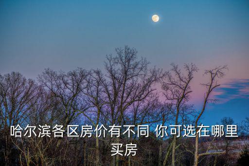 哈爾濱各區(qū)房?jī)r(jià)有不同 你可選在哪里買房