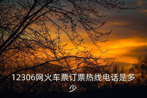 12306網火車票訂票熱線電話是多少
