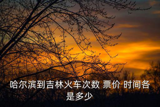 哈爾濱到吉林火車次數(shù) 票價 時間各是多少