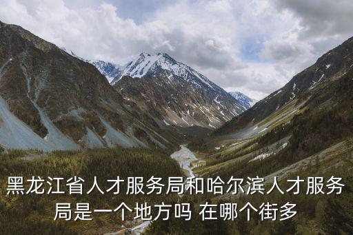 黑龍江省人才服務(wù)局和哈爾濱人才服務(wù)局是一個(gè)地方嗎 在哪個(gè)街多