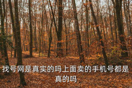 找號網是真實的嗎上面賣的手機號都是真的嗎